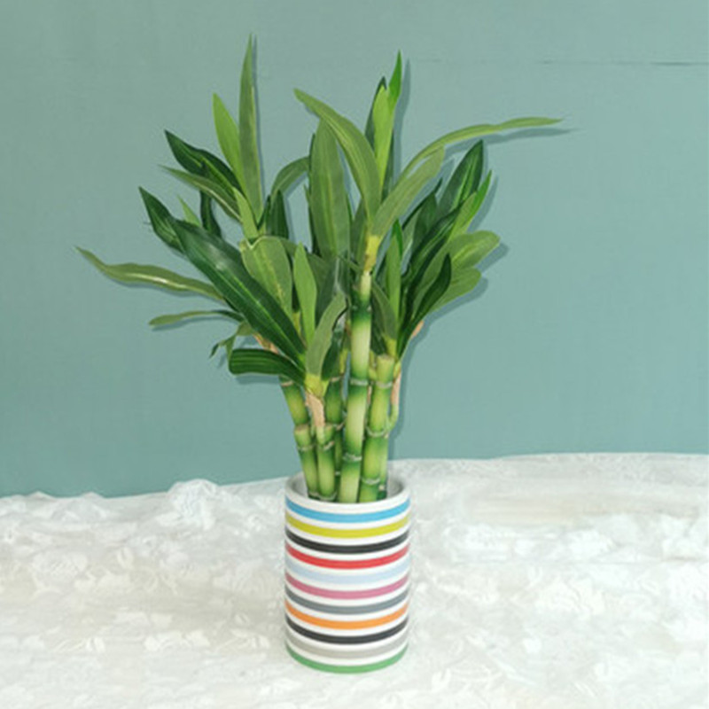 Mới 40Cm RFtificial May Mắn Tr - đánh giá và giá Outdoor Furniture Green